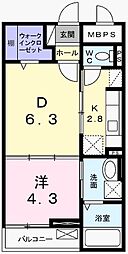 フィレール　デュ　トラジャVII