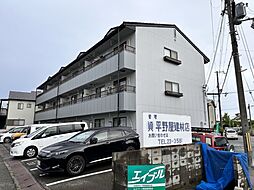 5 / 19