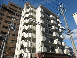 3 / 6