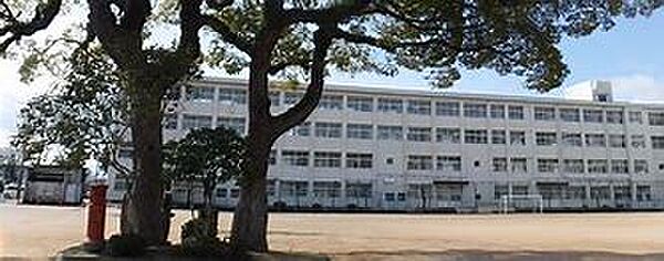 画像18:姫路市立白浜小学校