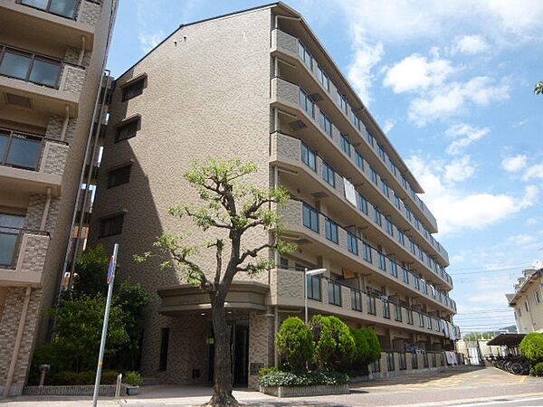 兵庫県揖保郡太子町鵤(賃貸マンション3LDK・6階・63.69㎡)の写真 その1