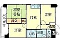 ロイヤルコーポ野田4階3.9万円