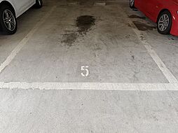 19 / 25