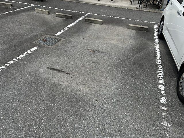21 / 31