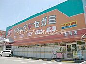 ドラッグセガミ金光店 825m