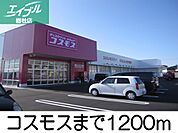 コスモス 1200m