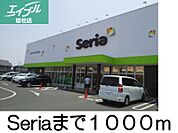seria 1000m