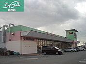 ディオマート北畝店（生活雑貨店） 820m