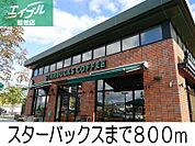 スターバックス 800m