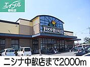 ニシナ 2000m