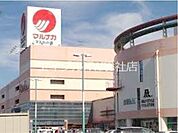 山陽マルナカマスカット店 602m