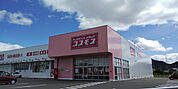 ディスカウントドラッグコスモス 但馬日高店（552m）