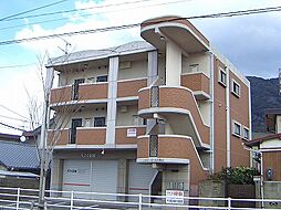 🉐敷金礼金0円！🉐ヴァリーゴールド足立
