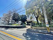 ☆北九州市立板櫃中学校（1650m）