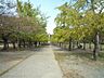周辺：☆平和公園（410m）