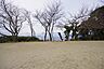 周辺：☆手向山公園（780m）