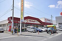 ウィズピュアあのお