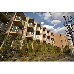 ビイルーム自由が丘