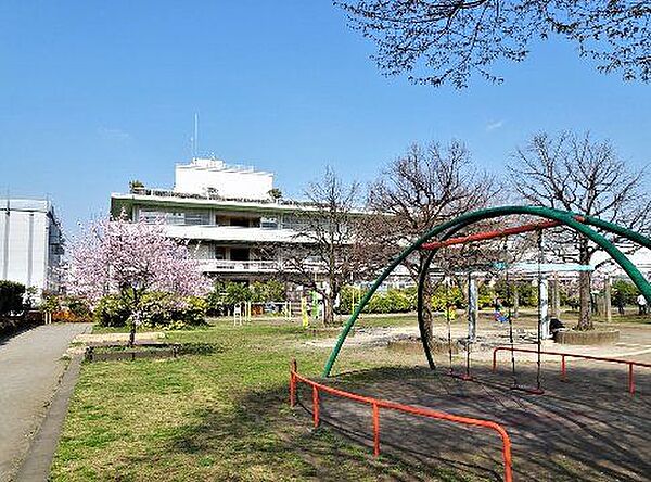 周辺を拡大表示