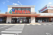 フレスタ 波出石店まで徒歩8分(約550m)
