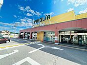 メグリア志賀店 498m