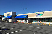 FOODS MARKET Selection青葉台店（1458m）