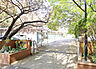 周辺：柏市立藤心小学校：徒歩11分（850m）