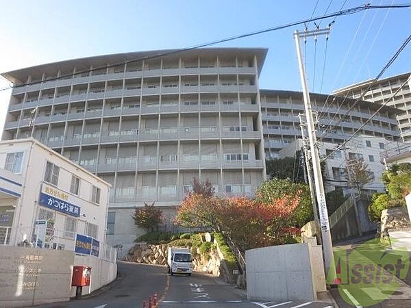 画像29:神戸海星病院 1095m