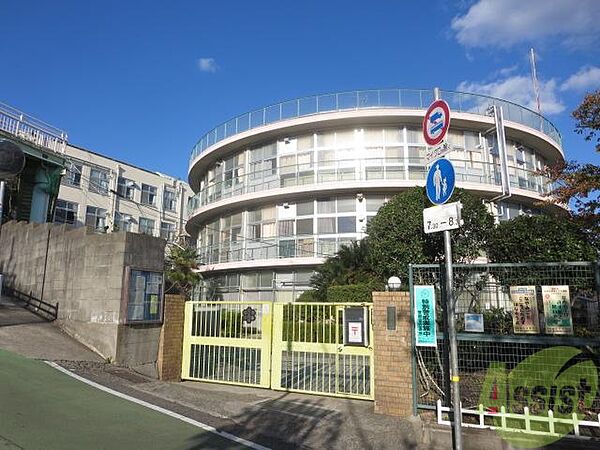 画像29:神戸市立美野丘小学校 226m