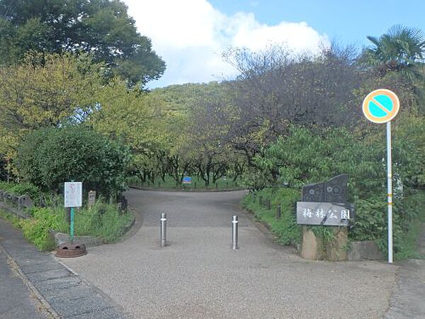 画像24:【公園】梅林公園まで1061ｍ