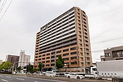 アデニウム北加賀屋
