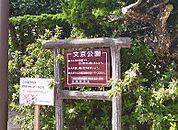 文京公園 70m