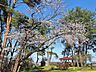 周辺：河渡中央公園 530m