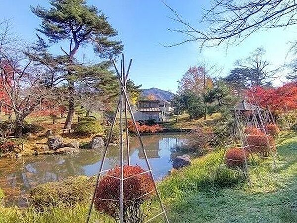 周辺を拡大表示