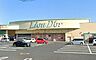 周辺：リオン・ドール 寺尾店 1150m