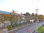上野小学校 210m