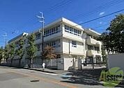 秦野小学校 649m