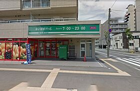 北海道札幌市北区北十八条西4丁目（賃貸マンション1LDK・9階・33.62㎡） その19