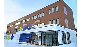 北海道札幌市東区北十一条東4丁目（賃貸マンション1LDK・2階・33.29㎡） その22