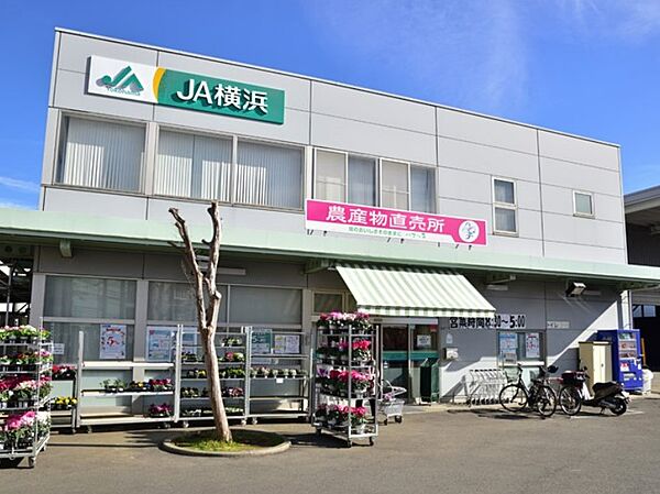 画像30:【スーパー】JA横浜 「ハマッ子」直売所 メルカートかながわ店まで464ｍ