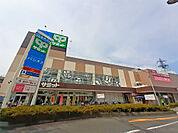 サミットストア 南加瀬店（800m）