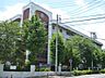 周辺：川崎市立塚越中学校（1000m）