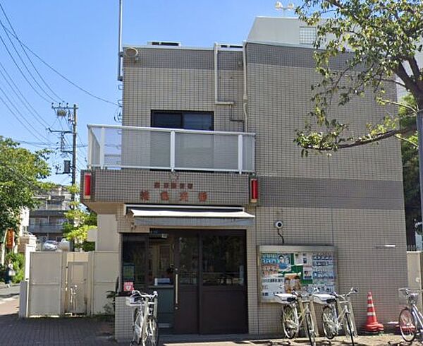 W house