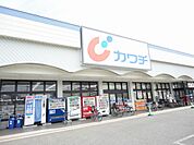 カワチ