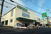 マルエツ 飛田給店　徒歩10分