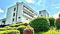 日本医科大学多...