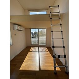 メゾンオークラ7番館 105 1階ワンルームのリビング/ダイニング