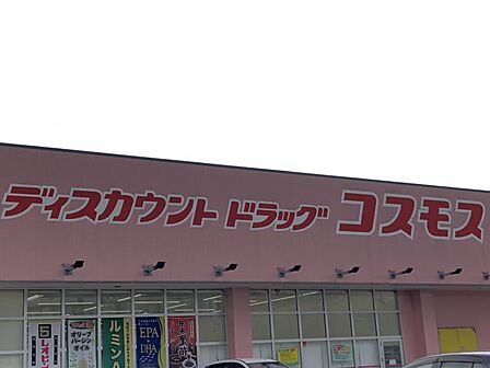 ドラッグコスモス南高江店まで266m、徒歩約4分 取扱商品:医薬品、化粧品、雑貨、食品、酒、たばこ等 営業時間:10時~21時