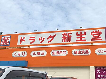 新生堂島崎店まで 640m 徒歩約8分