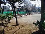 多摩平第1公園 896m